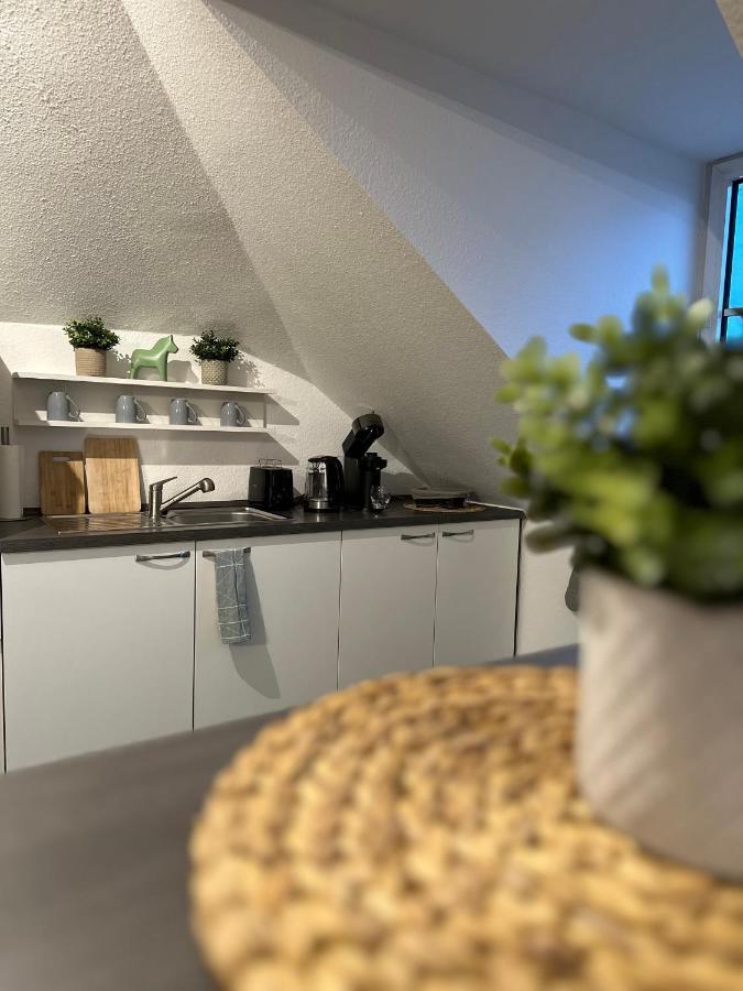 Oasis Appart - Wohnen Am Elbtal - Balkon - Netflix - Tiefgarage Dresden Exterior foto