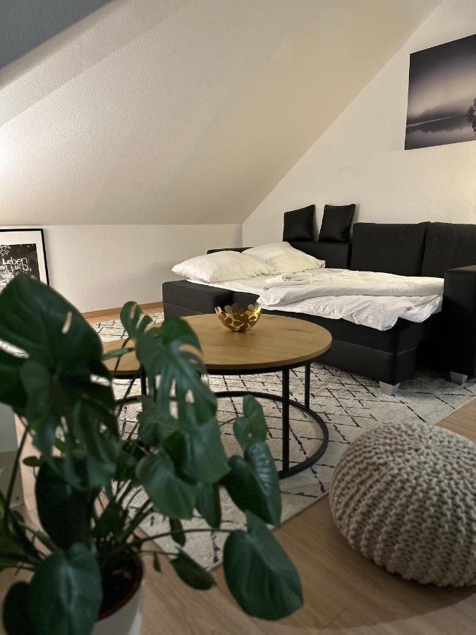 Oasis Appart - Wohnen Am Elbtal - Balkon - Netflix - Tiefgarage Dresden Exterior foto